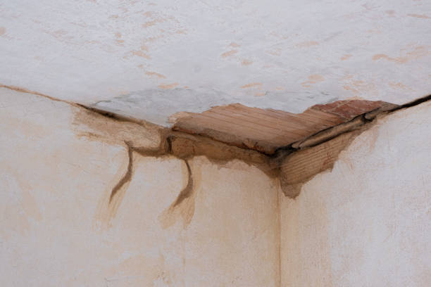 Best Water damage restoration mold remediation  in Stanton, KY